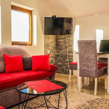 Vila Cajetinski Biser -Apartment Lux 科帕奥尼克 外观 照片